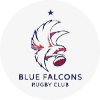 Blue Falcons - Doha